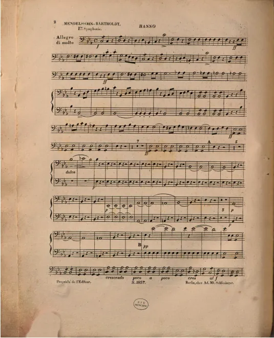 Cellos/Basses