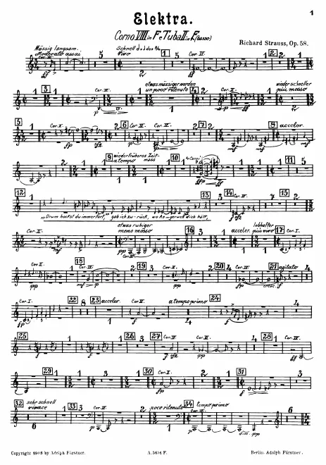 Horn 8/Bass Tuba 2