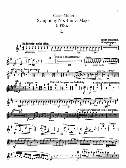 Flute 2