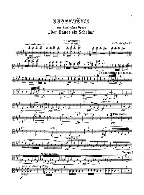 Violas