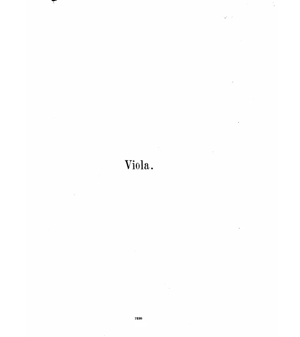 Viola
