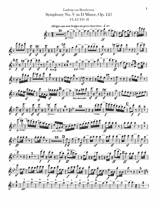 Flute 2