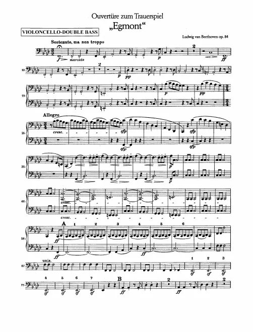 Cellos/Basses