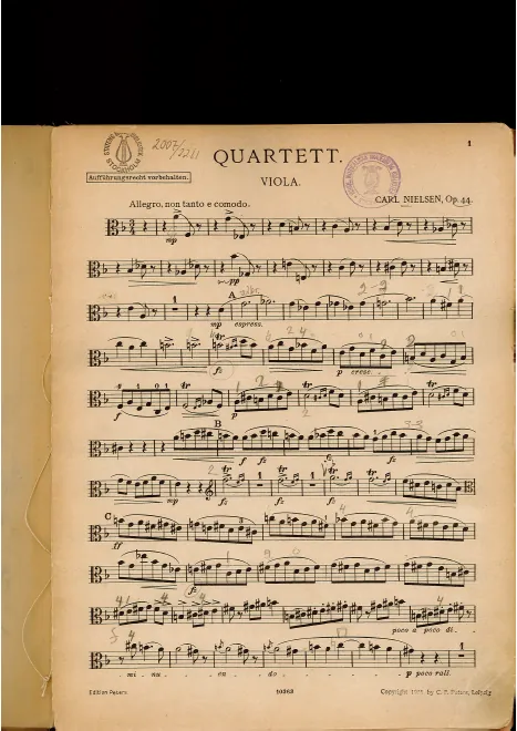 Viola