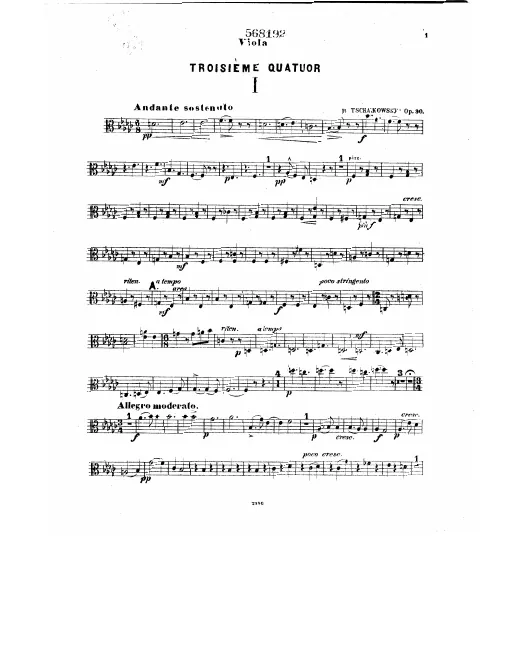 Viola