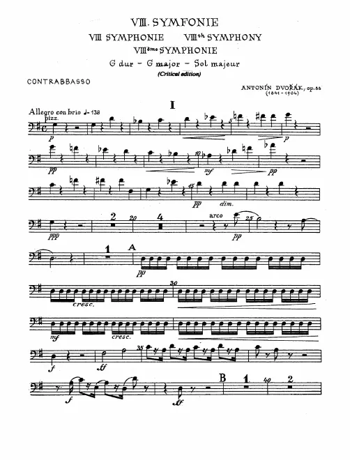 Basses
