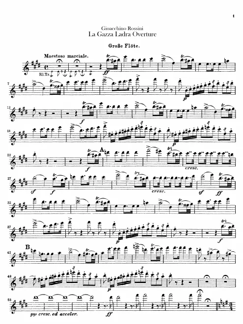 Flute, Piccolo
