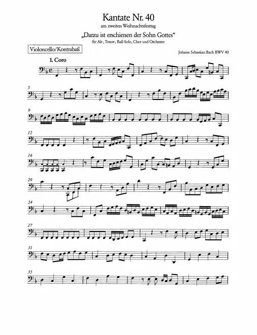 Cellos/Basses