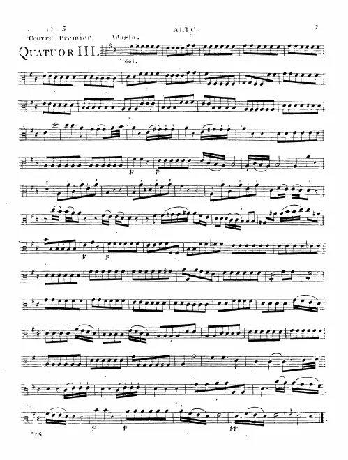 Viola