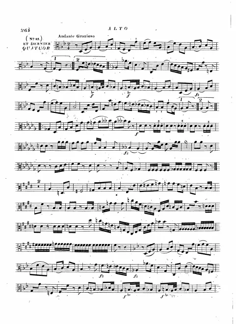 Viola