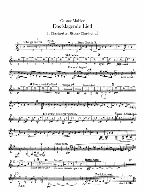 Clarinet 3 (B/A/C)/Bass Clarinet (B)