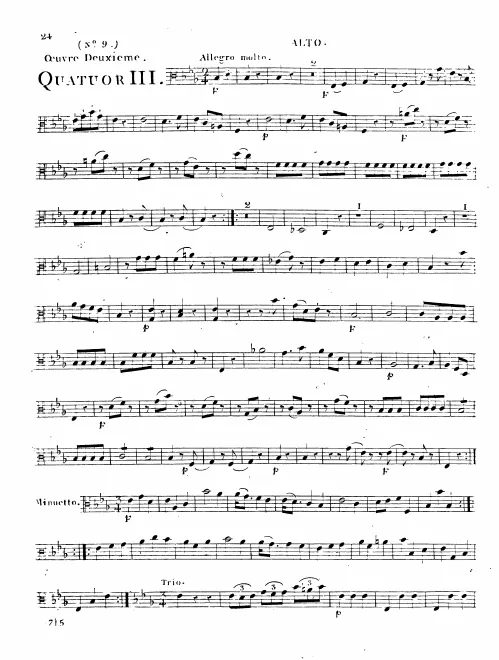 Viola