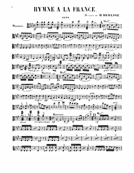 Violas