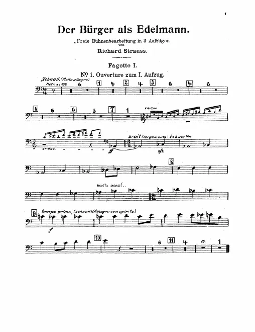 Bassoon 1