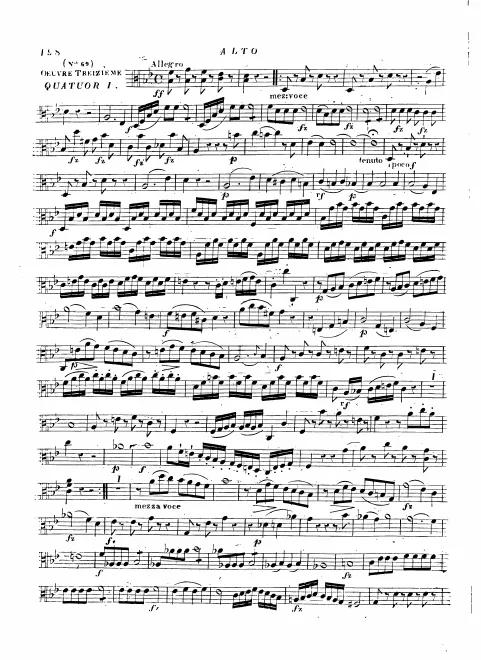 Viola