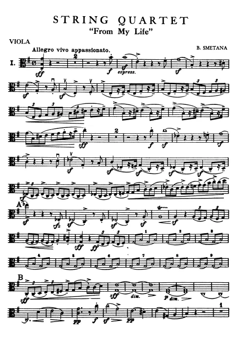 Viola