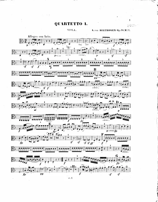 Viola