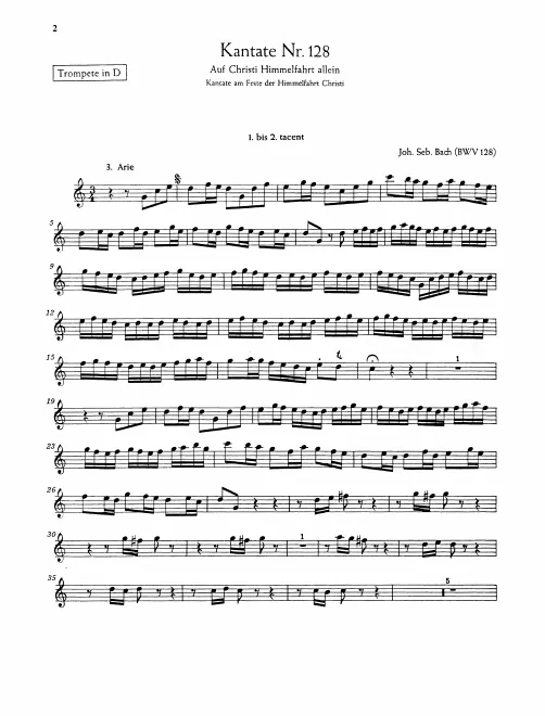 Trumpet (D)
