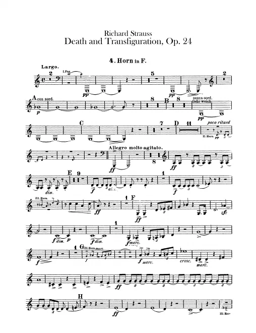 Horn 4 (F)