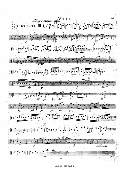 Viola