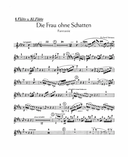 Flute 4 (also Piccolo)