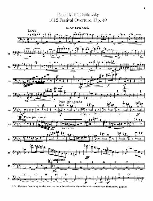 Basses