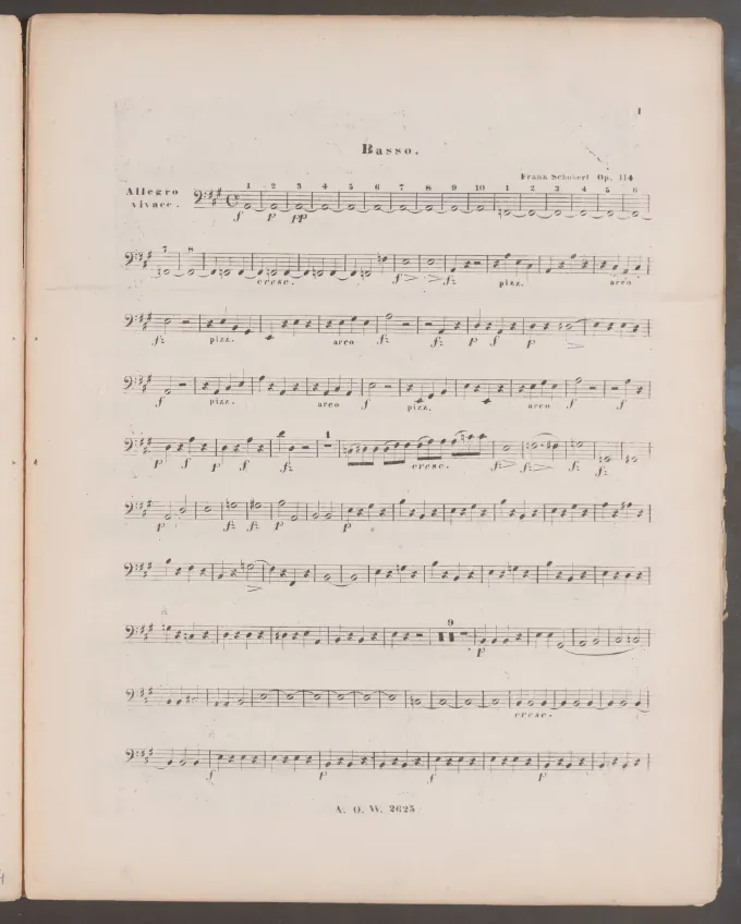 Double Bass