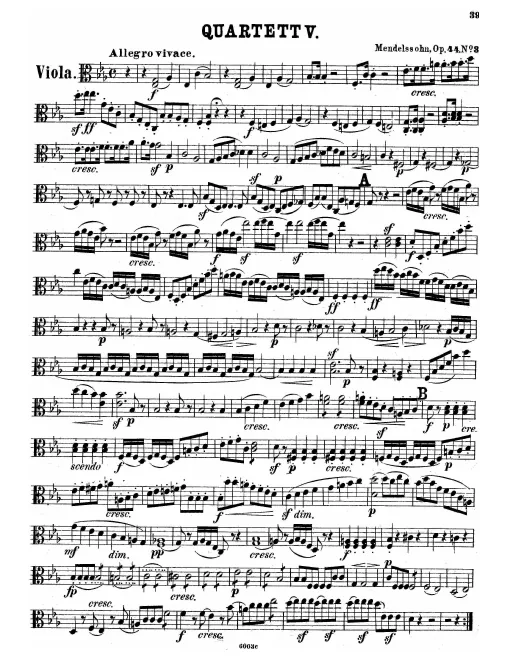Viola