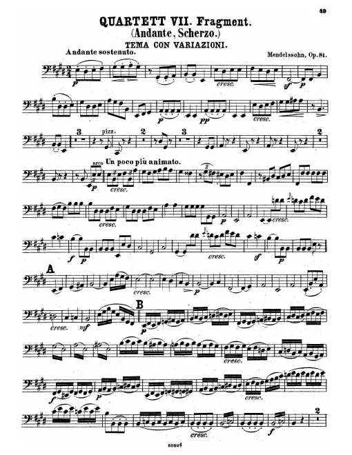 Cello