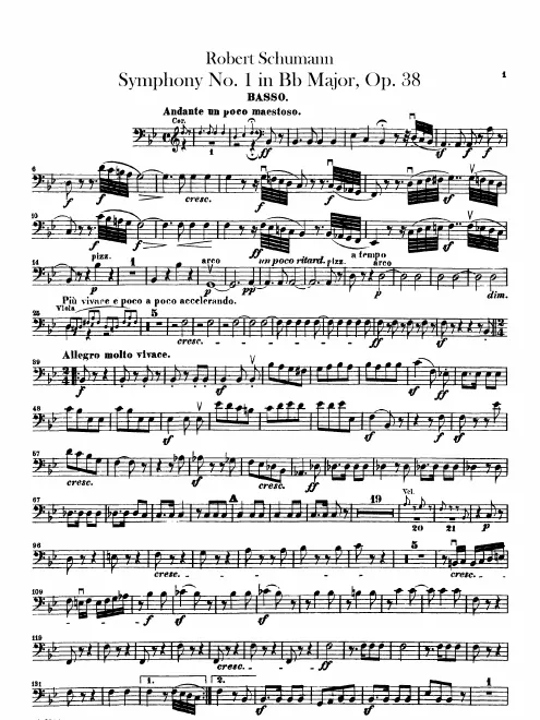 Basses