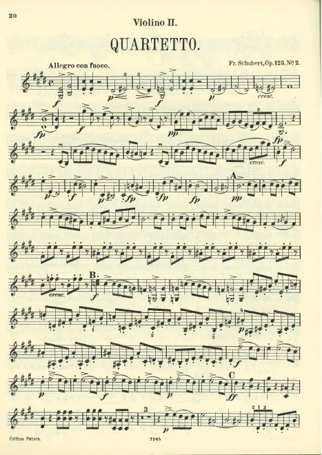 Violin 2