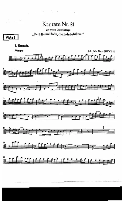 Violas I