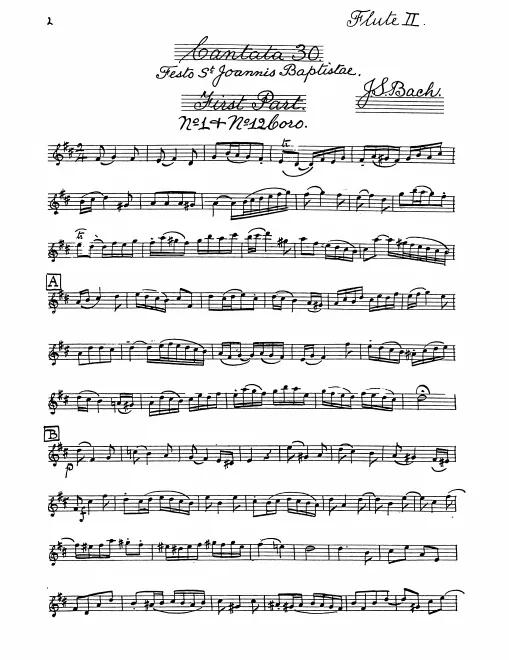 Flute 2
