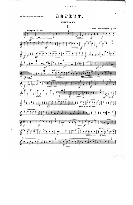 Horn (E)