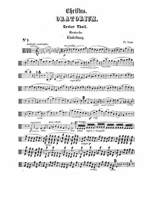 Violas