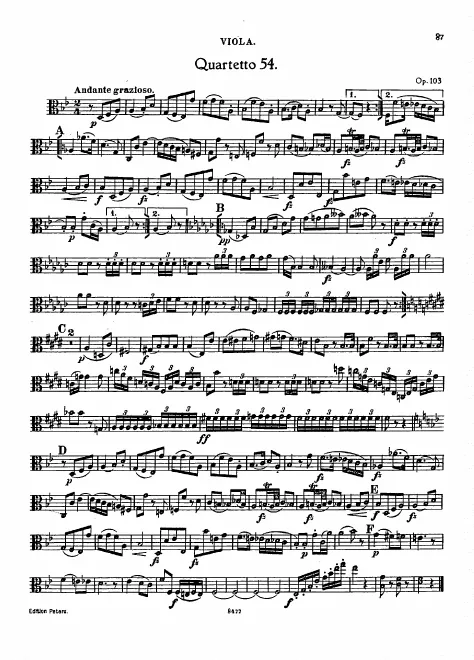 Viola