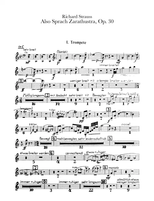 Trumpet 1 (C/E/F)