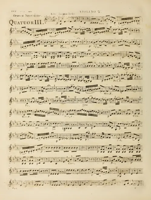 Violin 2