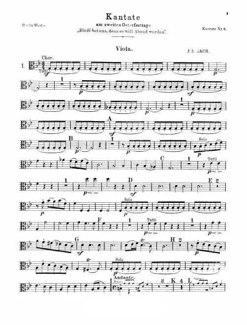 Violas