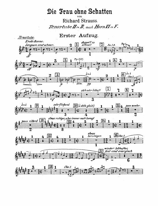 Horn 6/Wagner Tuba 2