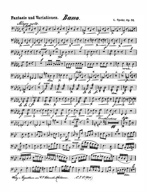 Basses