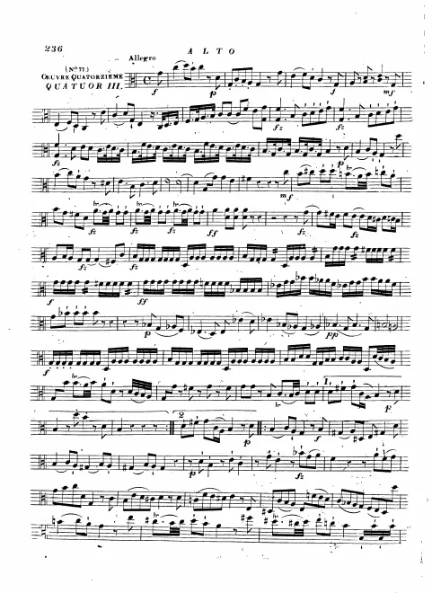 Viola
