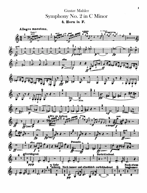 Horn 4 (F)