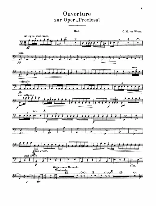 Basses