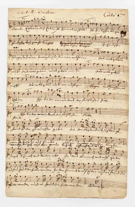 Complete Tablature Score, Incomplete Parts & Text