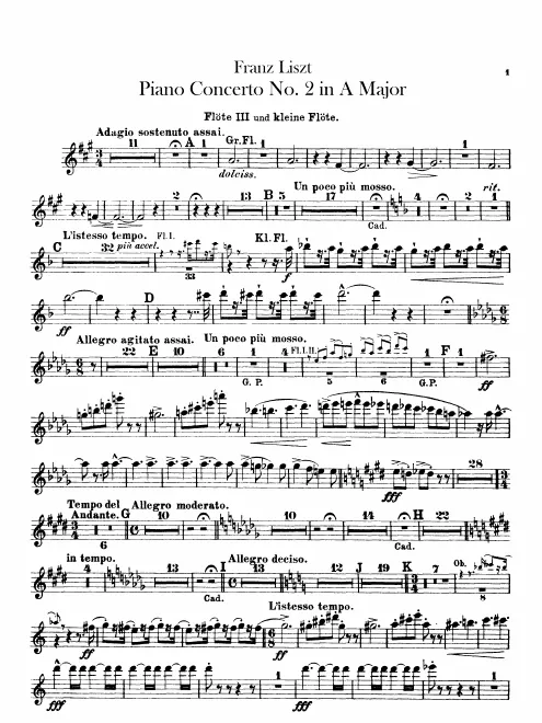 Piccolo/Flute 3