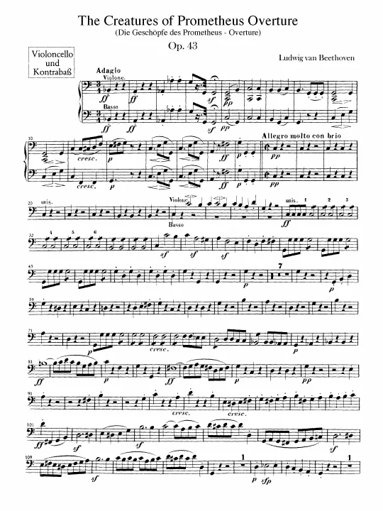 Cellos / Basses