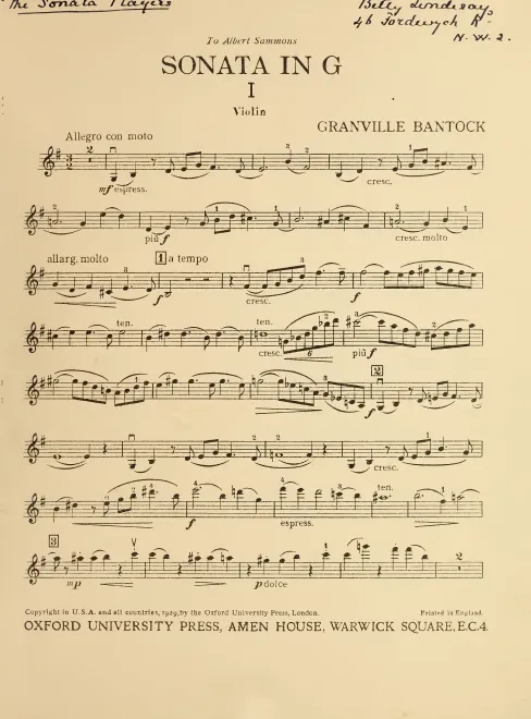 Violin