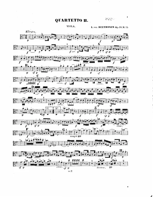 Viola