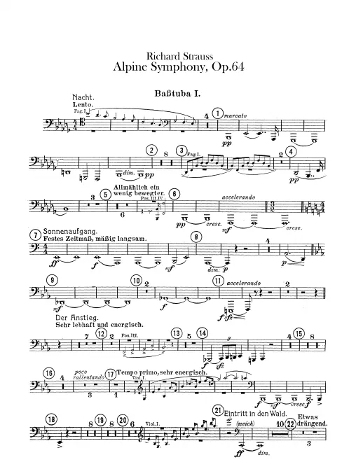 Tuba 1